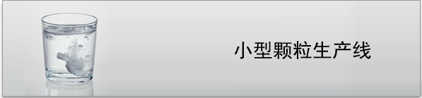 小型顆粒生產(chǎn)線